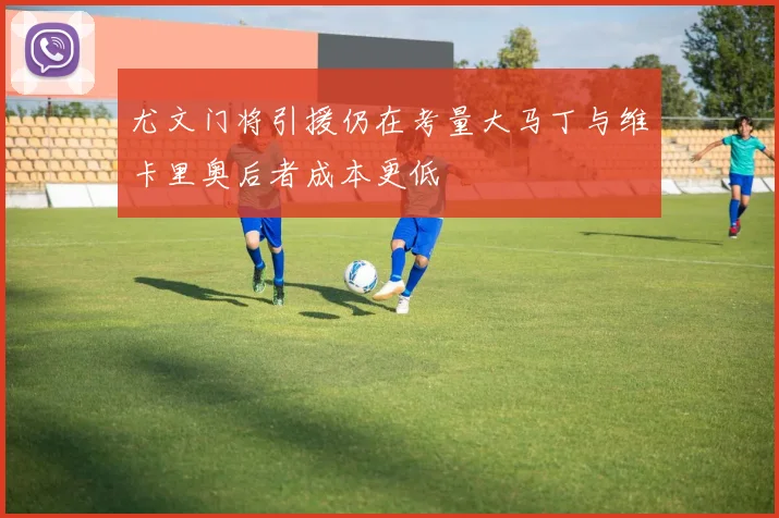 尤文门将引援仍在考量大马丁与维卡里奥后者成本更低