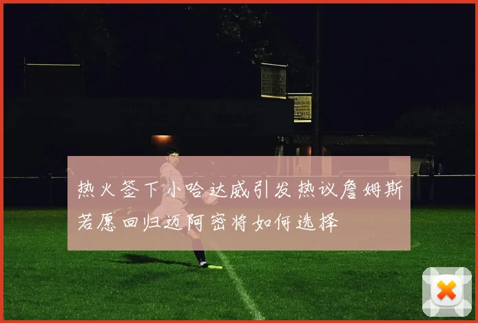 热火签下小哈达威引发热议詹姆斯若愿回归迈阿密将如何选择