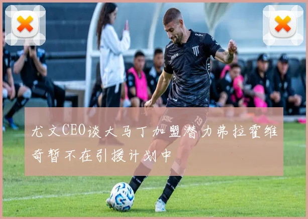 尤文CEO谈大马丁加盟潜力弗拉霍维奇暂不在引援计划中